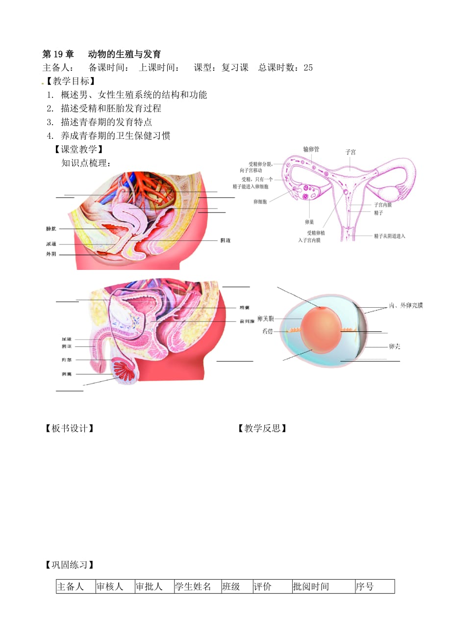 江苏省洪泽外国语中学2020学年八年级生物下册 第16、17章《运动与行为、生态系统的稳定》教学案（无答案） 新人教版_第3页