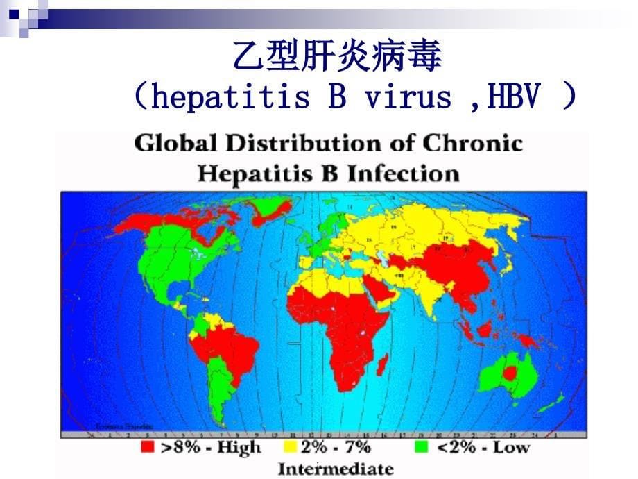 乙型肝炎病毒._第5页