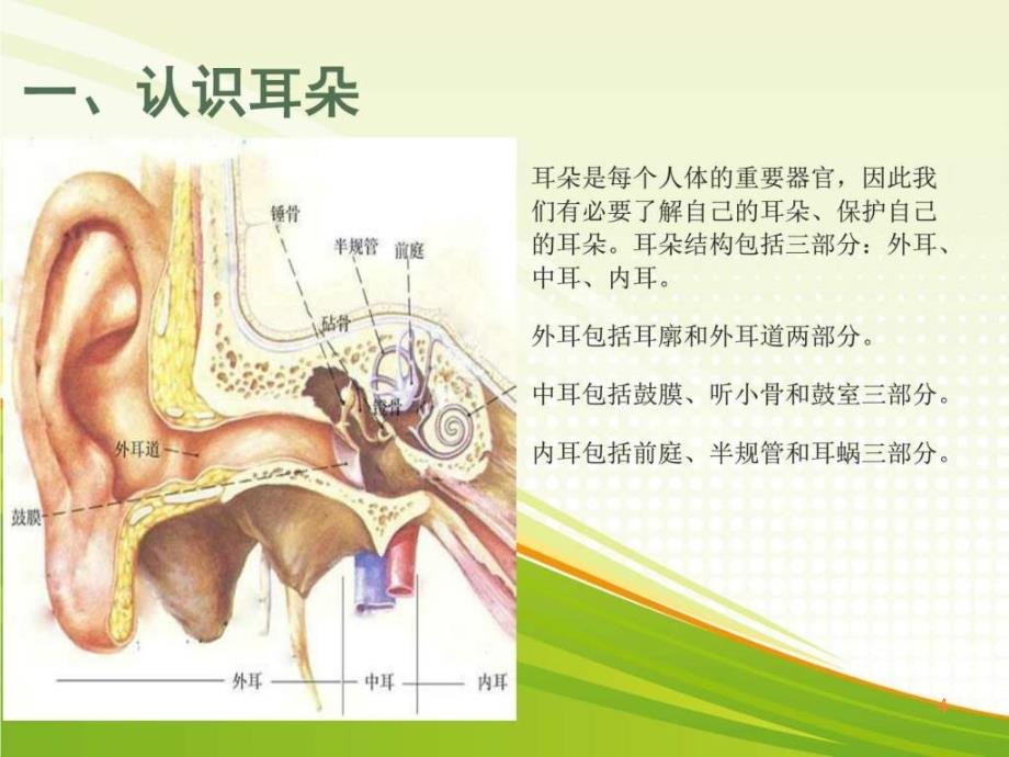 幼儿园爱耳日PPT课件_第4页
