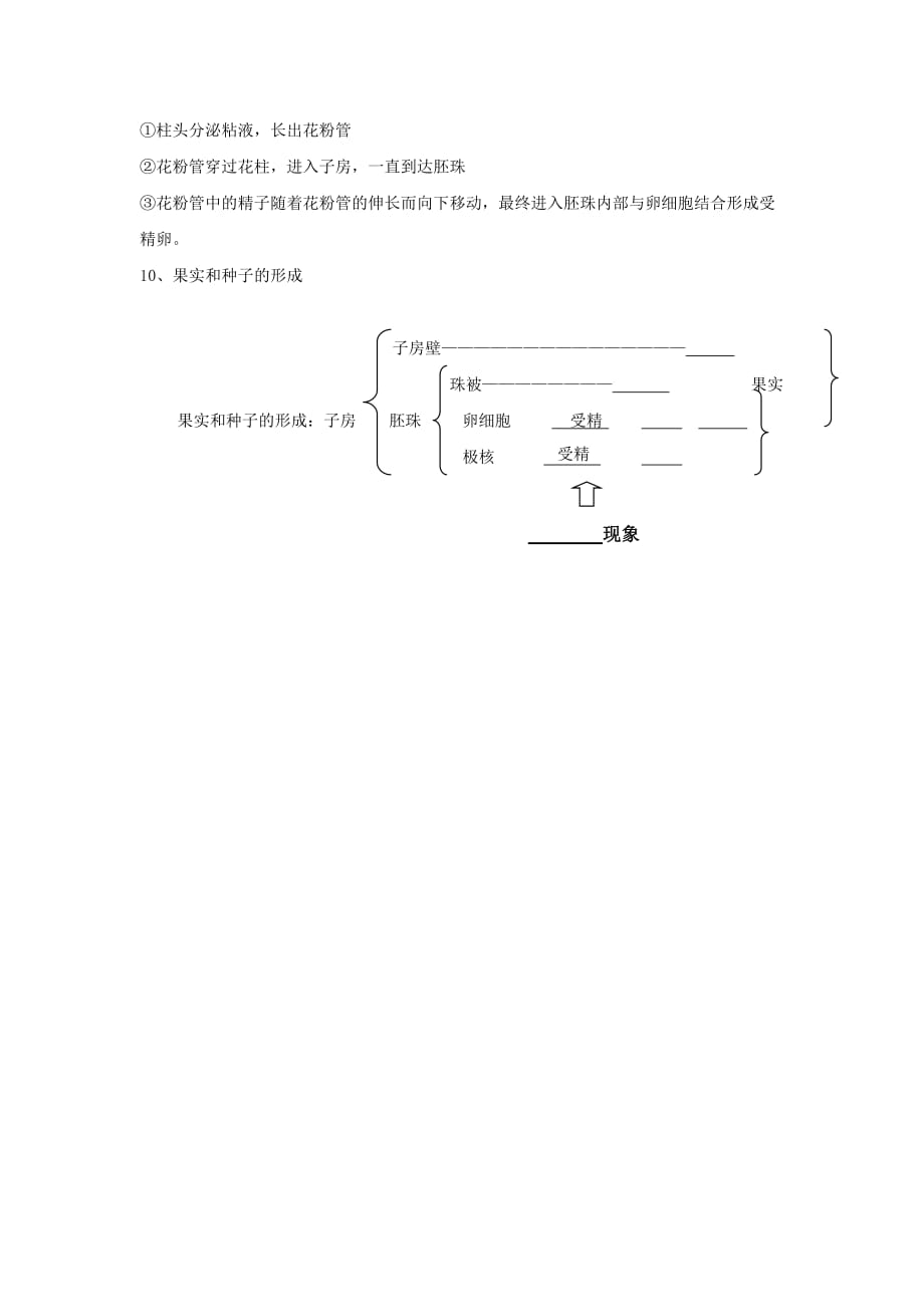 广西壮族自治区贵港市贵城县第四初级中学七年级生物上册 第二章 被子植物的一生复习提纲（无答案） 新人教版_第2页