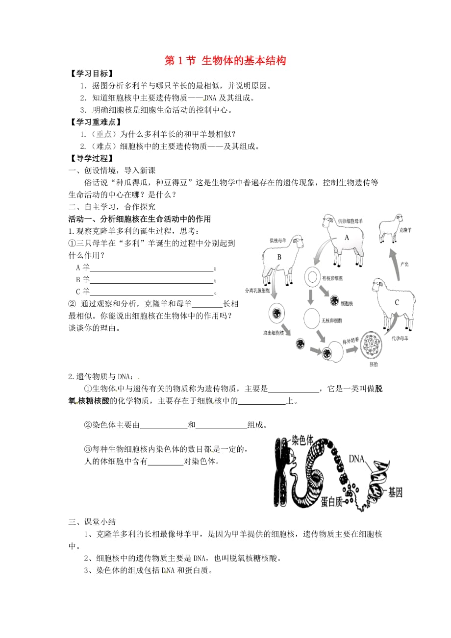 江苏省铜山区清华中学七年级生物下册 第8章 第1节 生物体的基本结构学案3（无答案） 苏科版_第1页