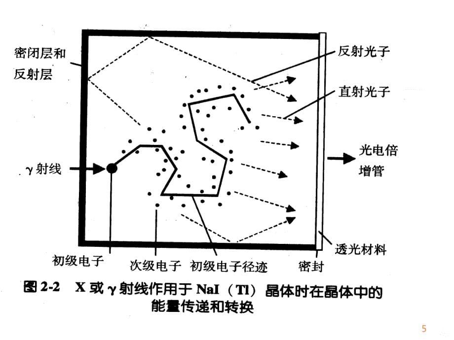 学习课件第三章核医学常用仪器ppt课件_第5页