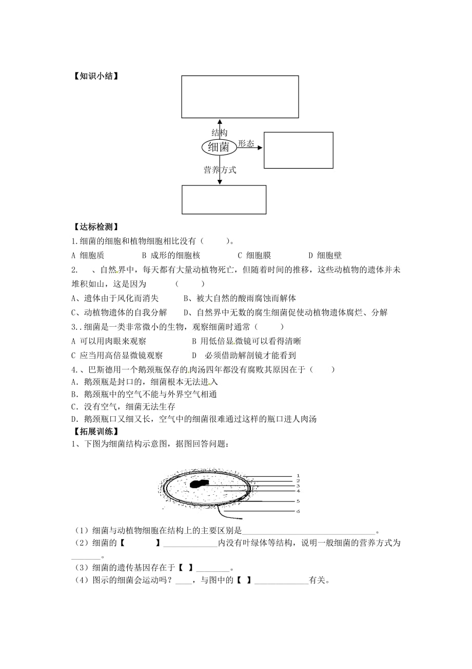 重庆市开县德阳初级中学八年级生物上册《细菌》导学案（无答案） 苏教版_第2页