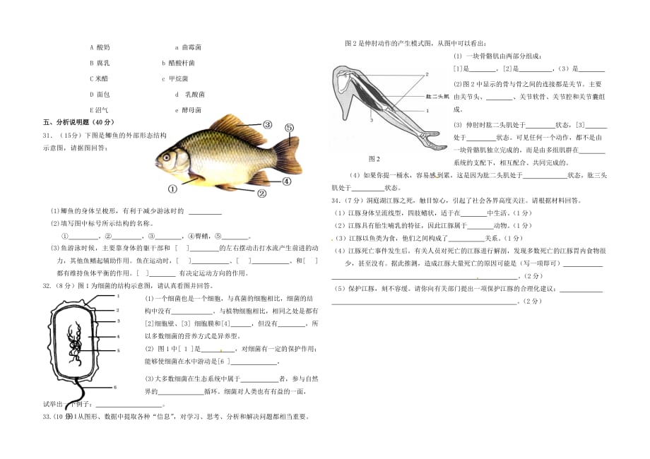 陕西省窑店中学2020学年八年级生物上学期期末考试试题 新人教版_第2页