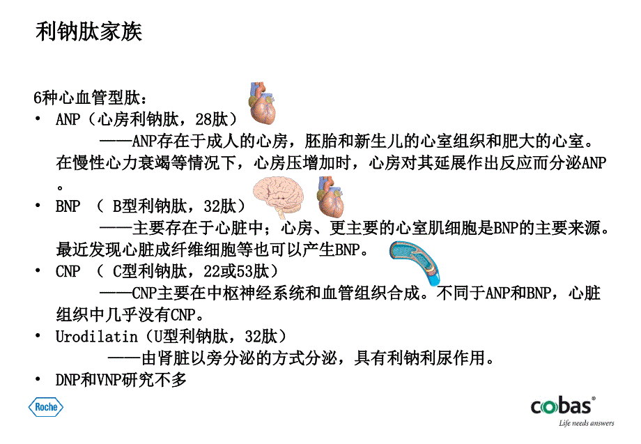 -在急性呼吸困难患者心衰诊断中的应用ppt课件_第4页