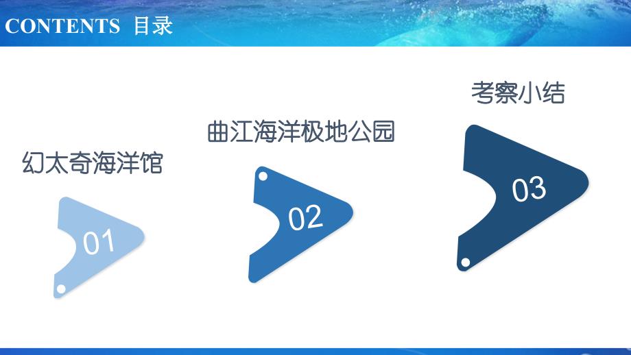 西安海洋馆项目市场考察报告.ppt_第2页