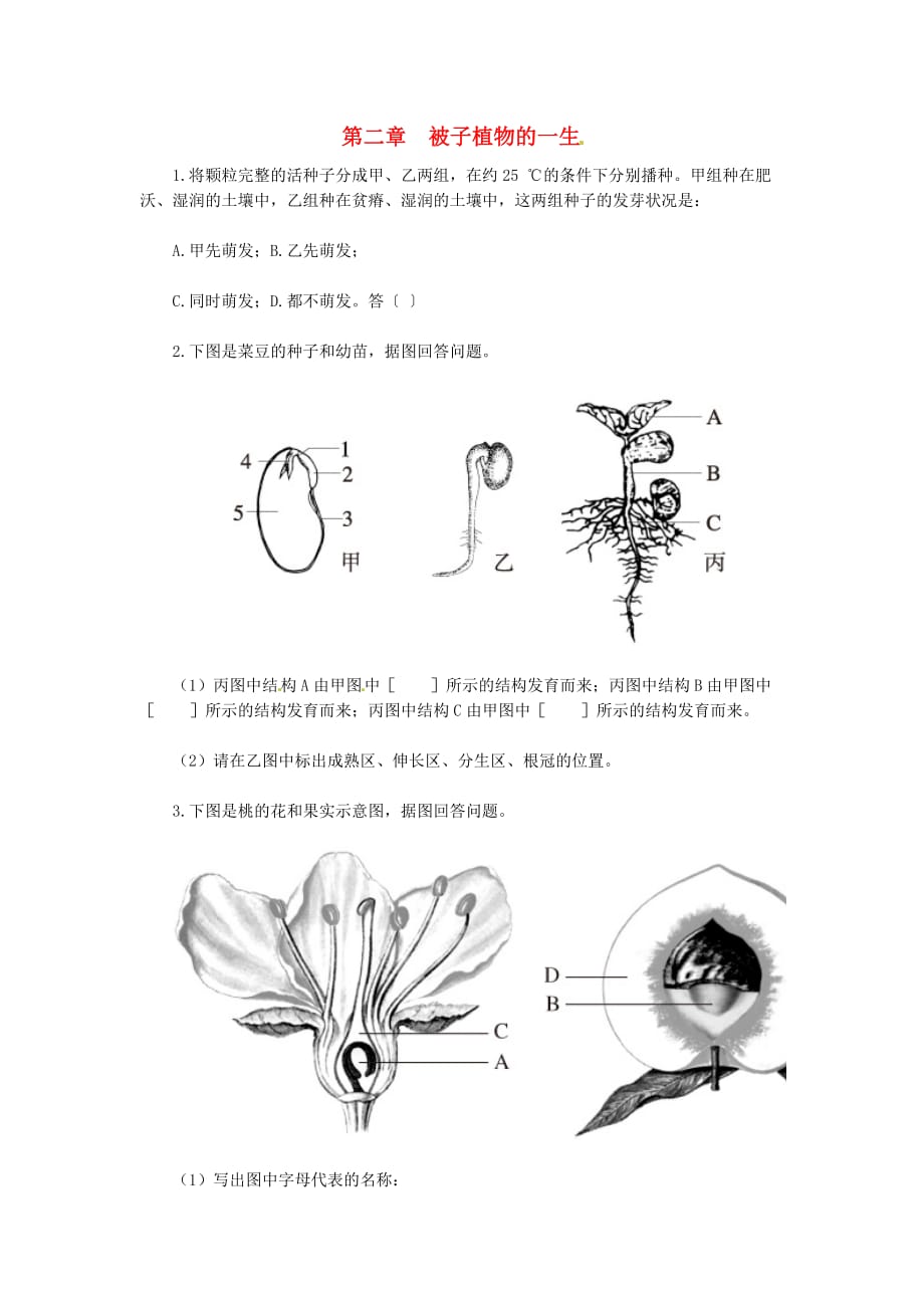 天津市小站第一中学七年级生物上册 3.2 被子植物的一生综合测评（无答案） 新人教版_第1页