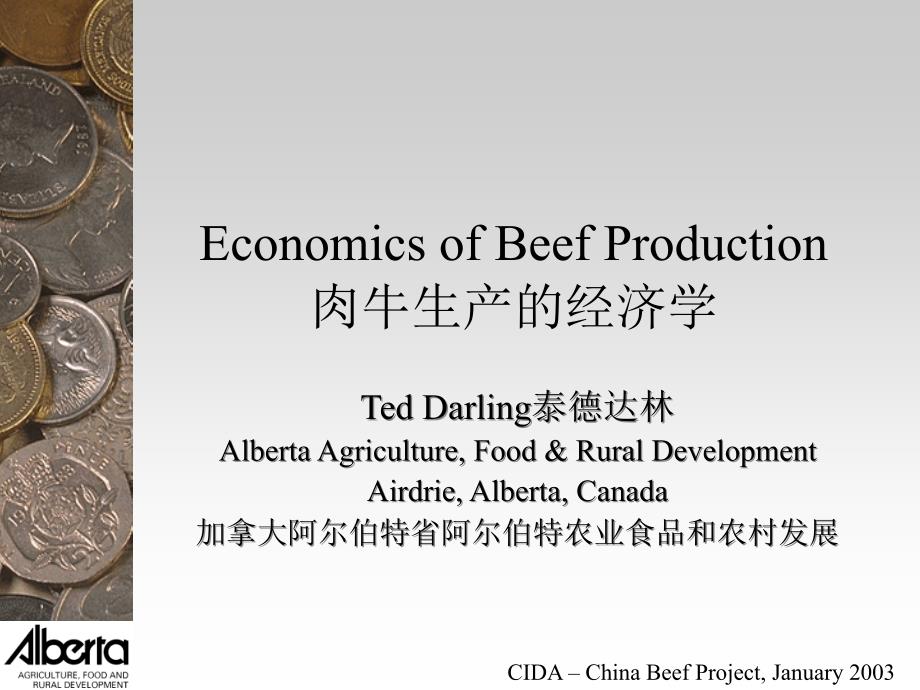 202X年肉牛生产的经济学_第1页