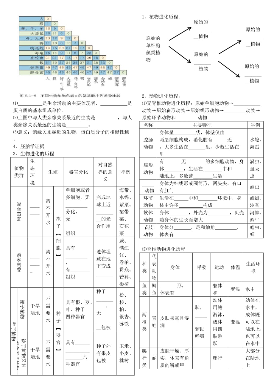 八年级生物下册 第五单元 第一章 生命的起源和进化提纲与练习（无答案） 济南版_第2页