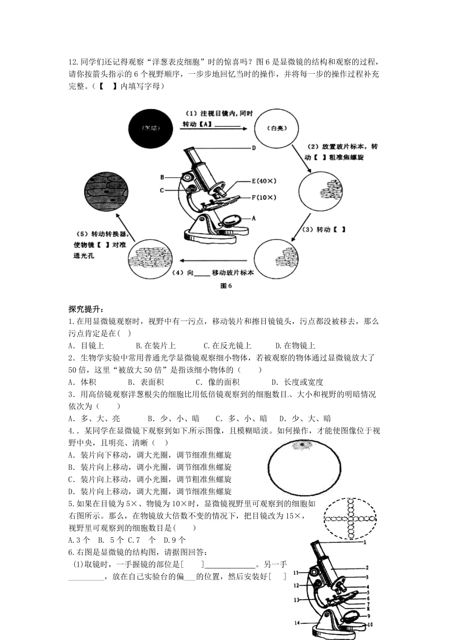 江西省金溪县第二中学七年级生物上册 2.1.1 练习使用显微镜导学案（无答案） 新人教版_第2页