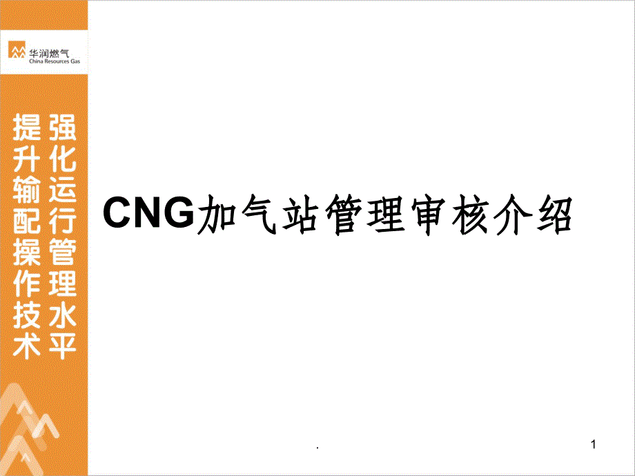 CNG加气站管理审核介绍201X.10.15ppt课件_第1页