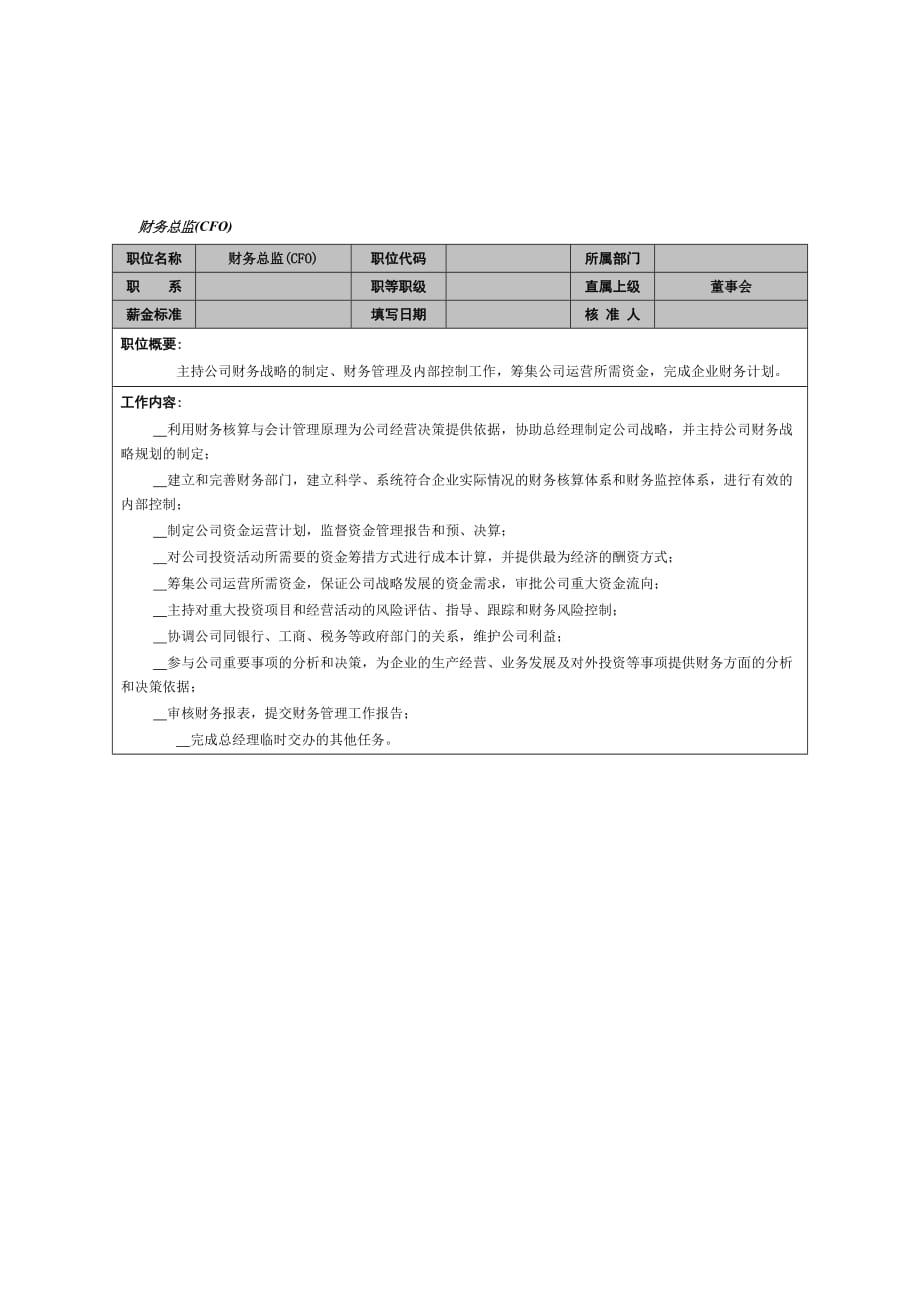 202X年财务总监岗位职责 (2)_第1页