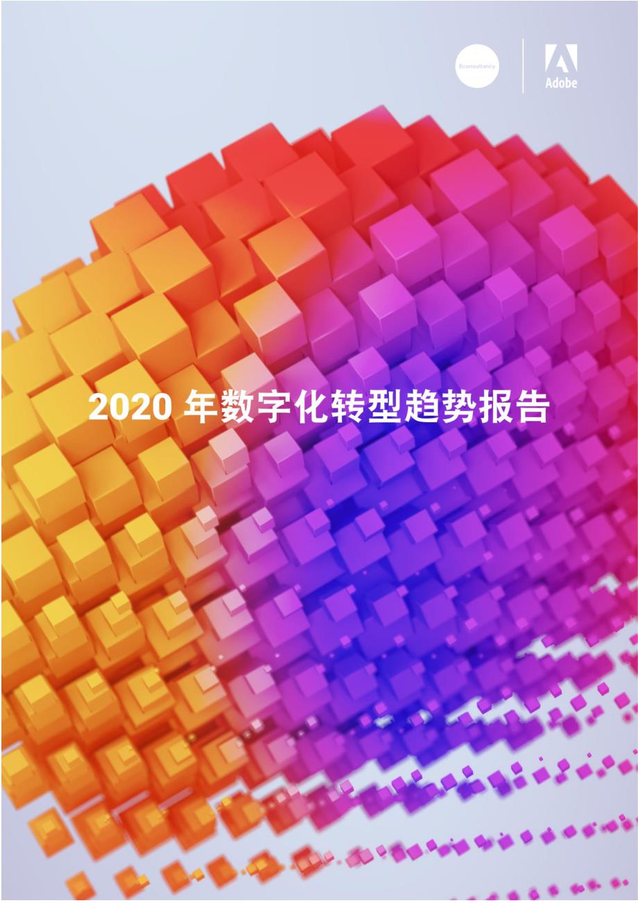 Adobe&Econsultancy：2020年数字化转型趋势报告_第1页