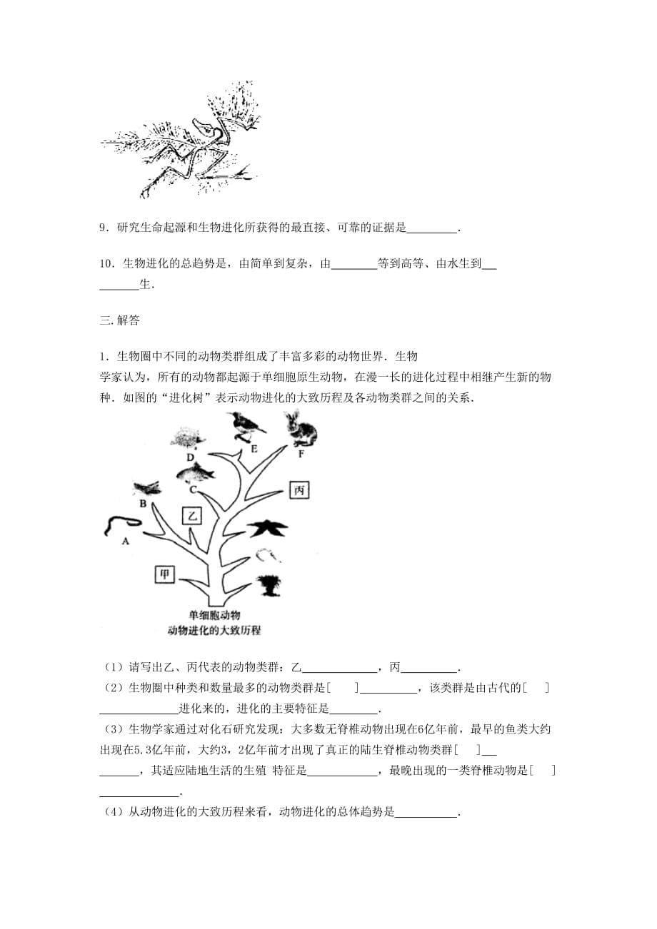 八年级生物下册第七单元第三章第二节生物进化的历程练习题无答案新版新人教版_第5页