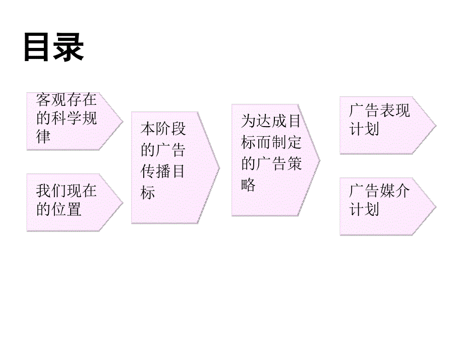 202X年营销策划案例汇编30_第2页