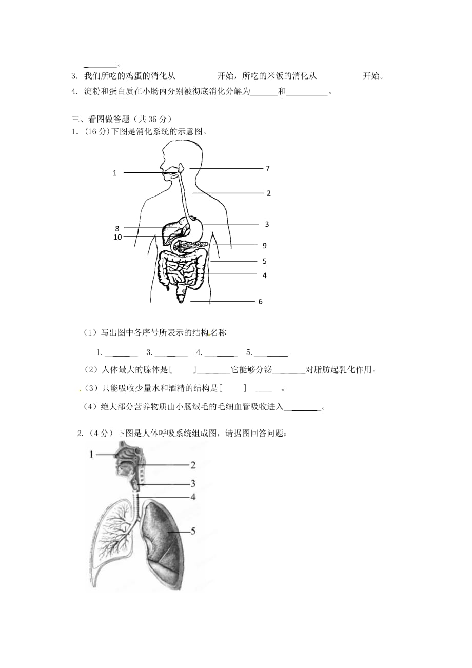 重庆市万州区岩口复兴学校2020学年七年级生物下学期期中试题（无答案） 新人教版_第3页