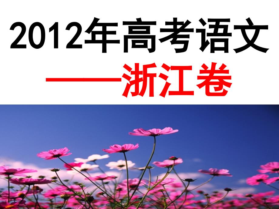 2012年高考——浙江卷.ppt_第2页