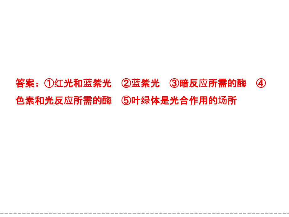 2013高三生物一轮复习课件(人教版)：1-3-3能量之源——光与光合作用.ppt_第4页