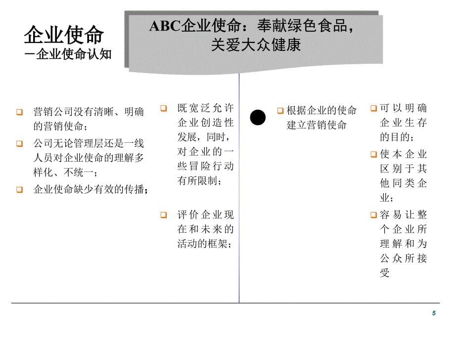 202X年营销策略报告7_第5页