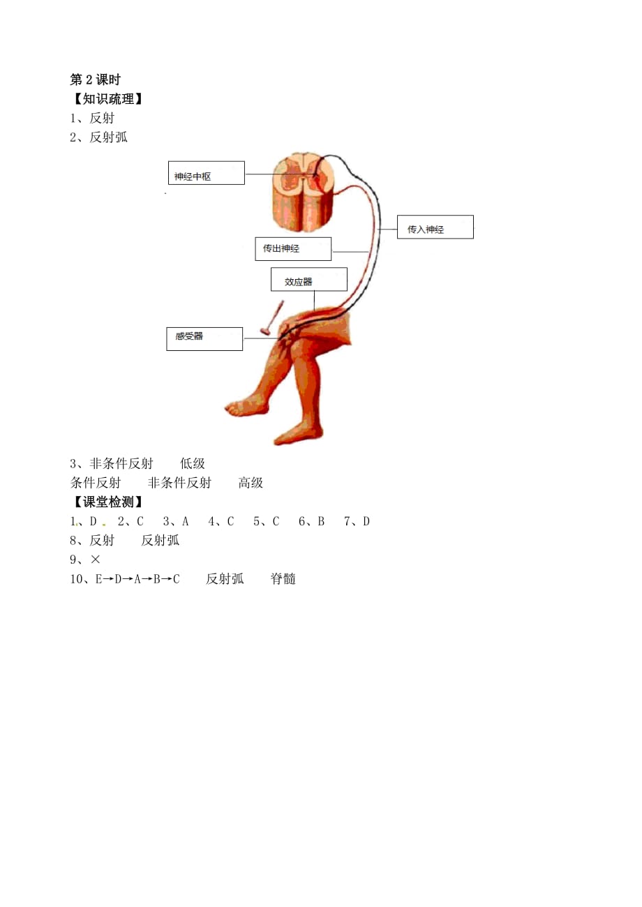 江苏省丹徒区世业实验学校八年级生物上册 16.1 人体的神经调节（第2课时）导学案（无答案）（新版）苏科版 (2)_第3页