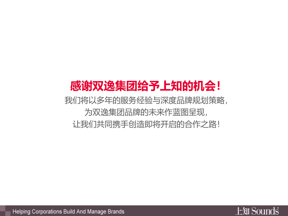 某集团品牌规划项目建议书.ppt_第3页