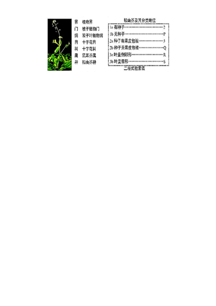 浙江省杭州市下城区2020年中考生物一模试卷（含解析）_第4页