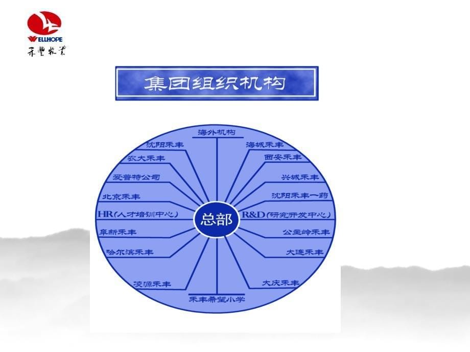 金卫东创业报告.ppt_第5页