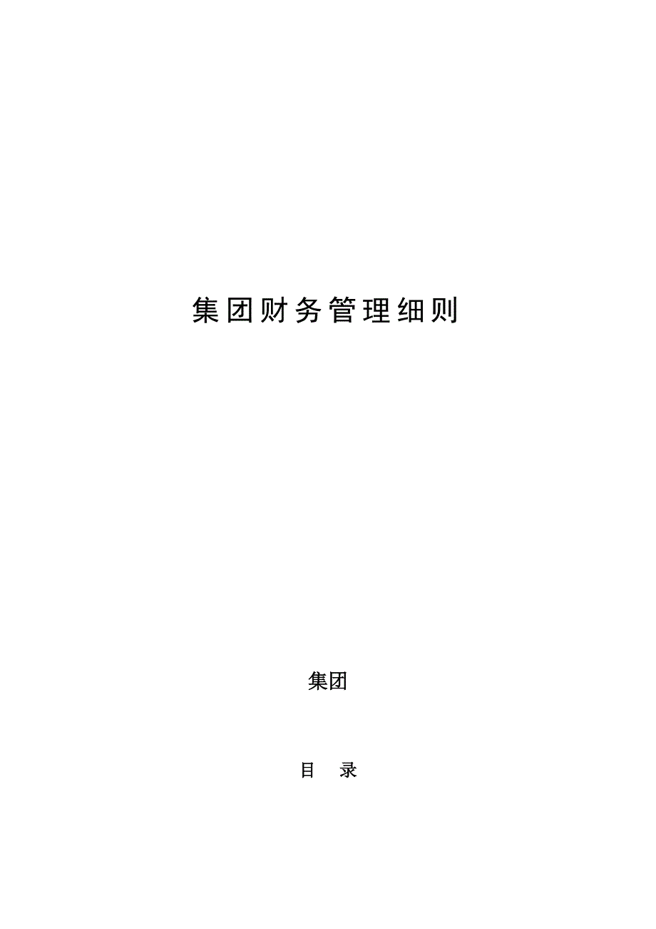 《新编》某集团财务管理制度 (2)_第1页