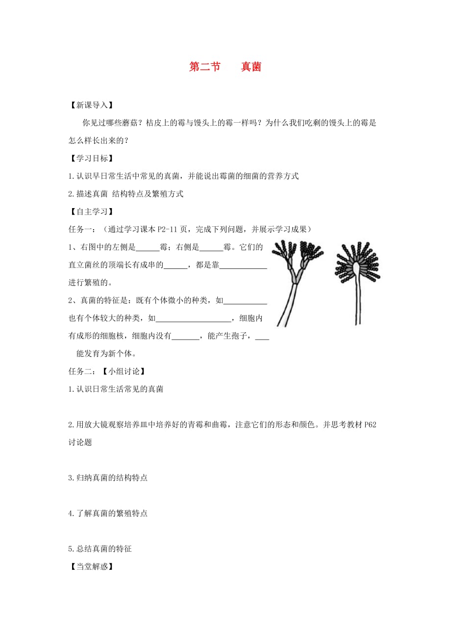 八年级生物上册 第五单元 第四章 第三节 真菌导学案（无答案）（新版）新人教版（通用）_第1页