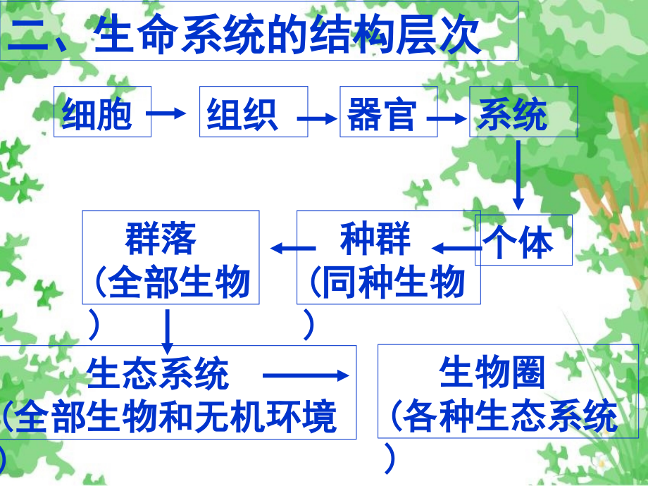 生物必修一复习课件.ppt_第3页