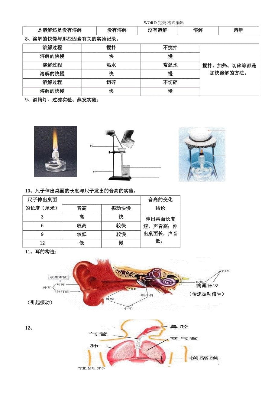 教科版小学四年级科学[上册]材料.doc_第5页