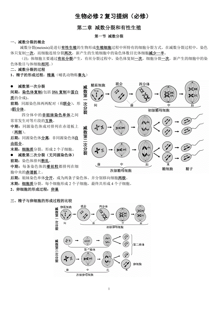 生物必修2复习提纲(必修).doc_第1页