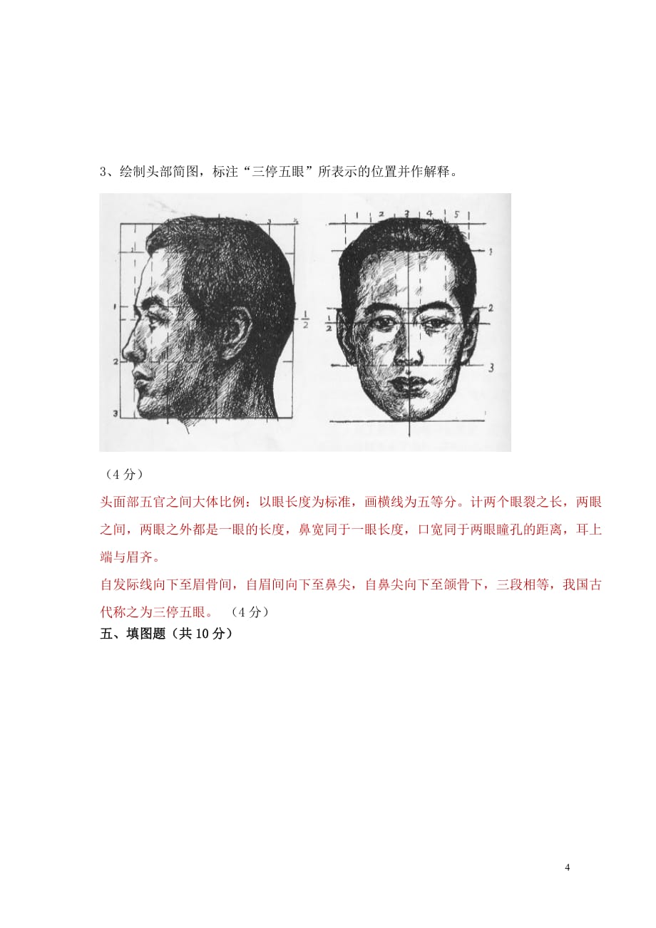 2011级艺用解剖学试题2.doc_第4页