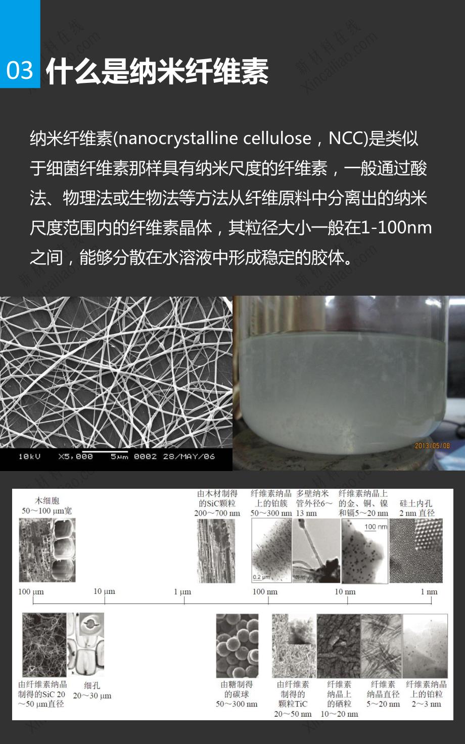 2015纳米纤维素应用与产业化研究报告.pdf_第4页