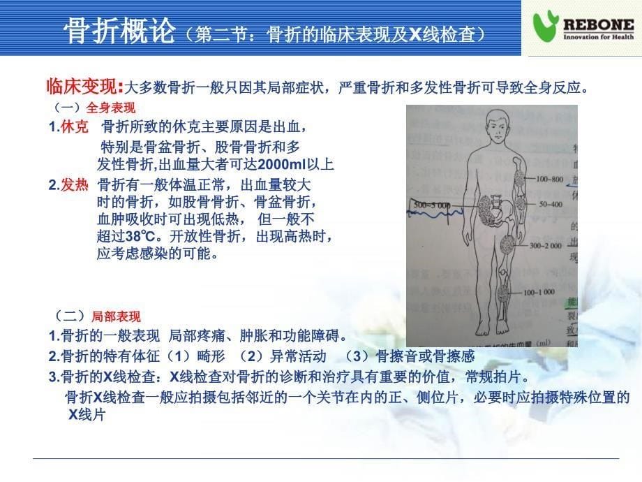 骨科基础医学知识.ppt_第5页