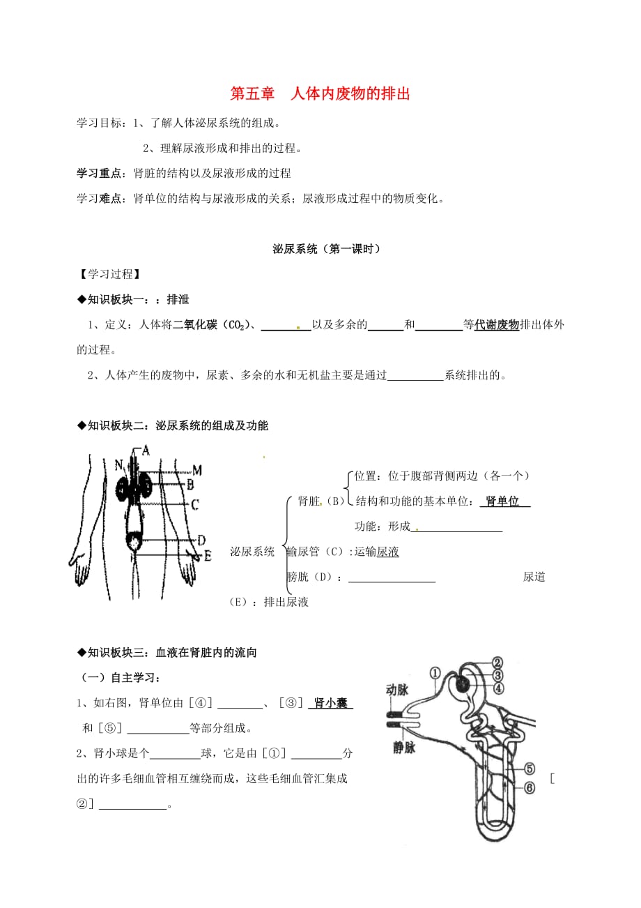 重庆市七年级生物下册 5.1 泌尿系统学案（无答案）（新版）新人教版（通用）_第1页