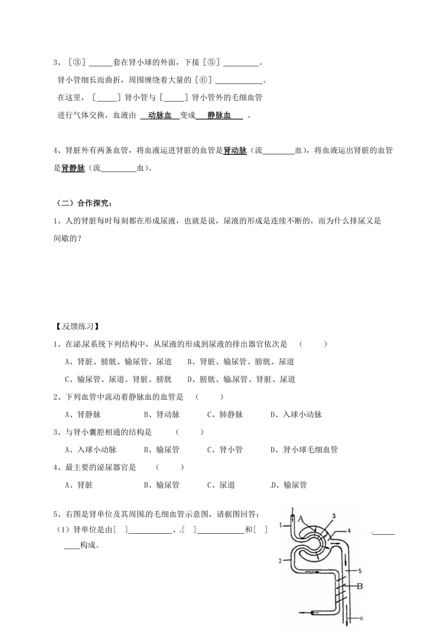 重庆市七年级生物下册 5.1 泌尿系统学案（无答案）（新版）新人教版（通用）_第2页