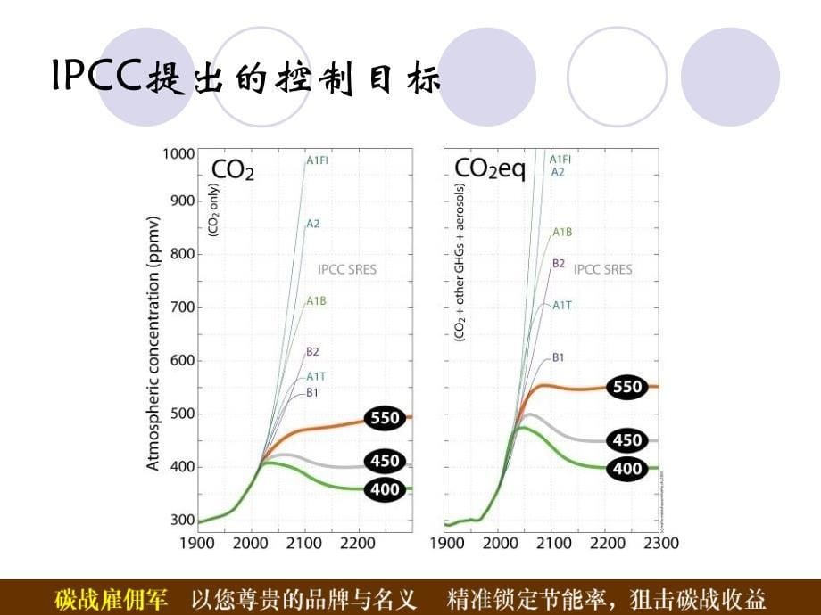 2009年中国低碳发展之经济分析报告.ppt_第5页