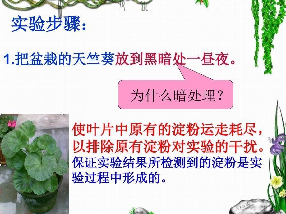 绿色植物是生物圈中有机物的制造者.ppt_第5页