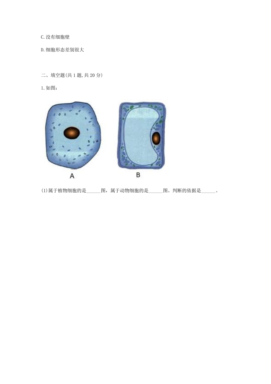 河南省永城市七年级生物上册 第二单元 第一章 第三节《动物细胞》课堂反馈（无答案）（新版）新人教版（通用）_第2页