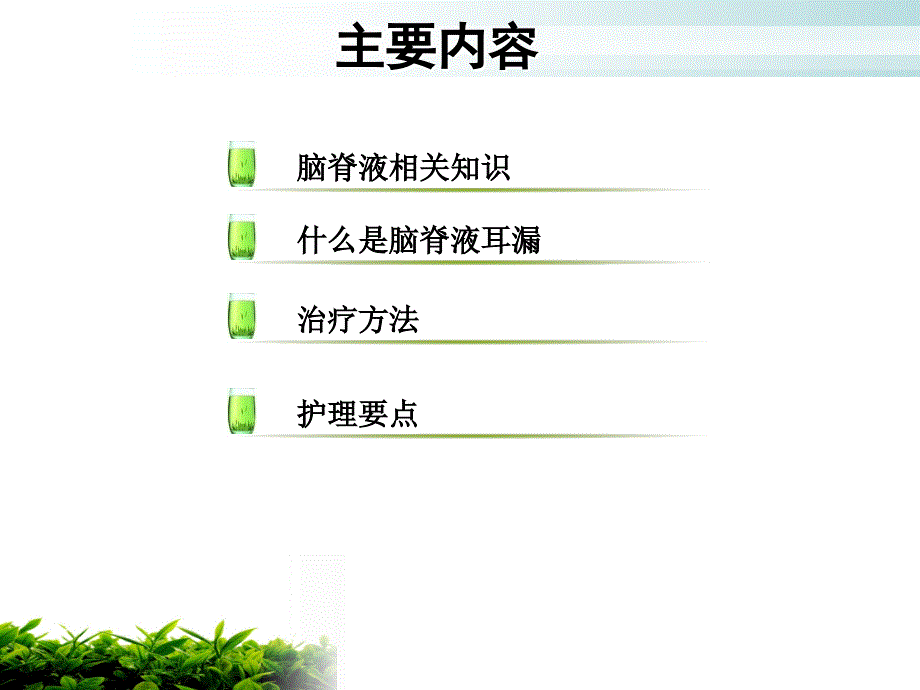 脑脊液耳漏的护理.ppt_第2页