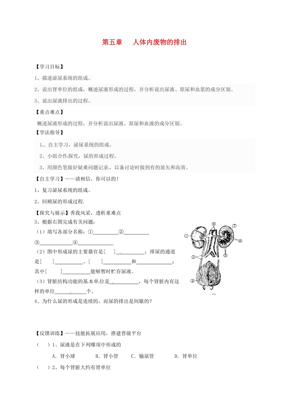 陕西省宝鸡市七年级生物下册 4.5 人体内废物的排出学案2（无答案）（新版）新人教版（通用）_第1页