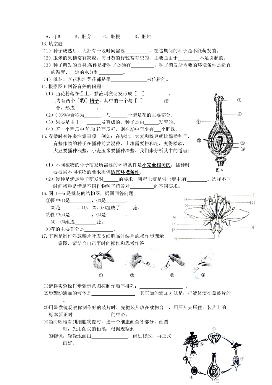 湖北省黄石市第十中学七年级生物上册 3.2.3 开花和结果导学案（无答案） 新人教版（通用）_第4页