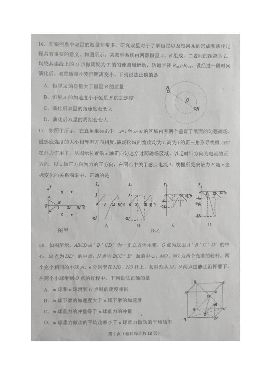 辽宁省大连市2020届高三下学期第二次模拟考试理科综合试题_第5页