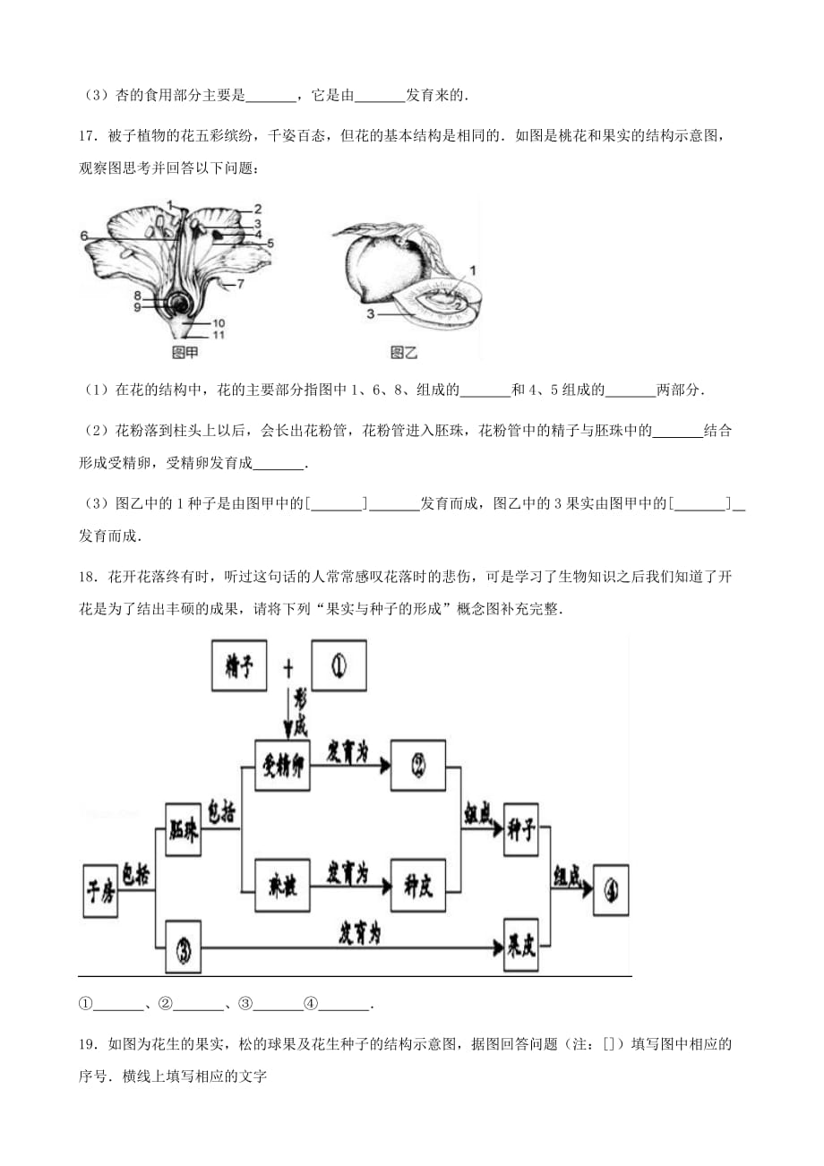 七年级生物上册 第四单元 第一章 第3节 果实和种子的形成同步测试题（无答案）（新版）济南版（通用）_第3页