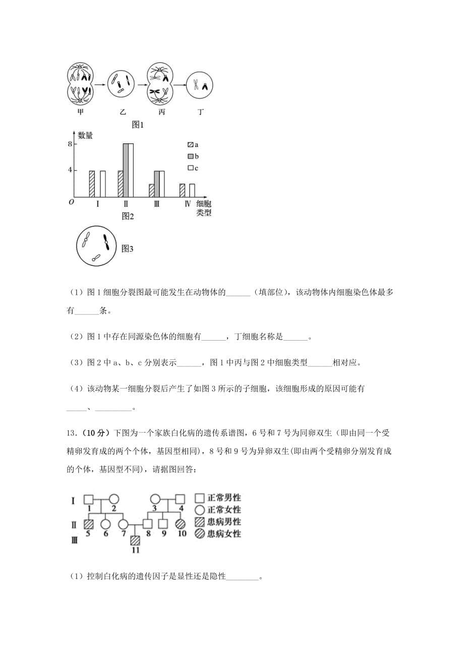 四川省泸县第二中学2019-2020学年高一生物下学期期中试题【含答案】.doc_第5页