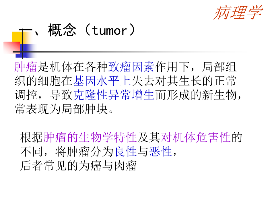 肿瘤-病理学課件_第4页