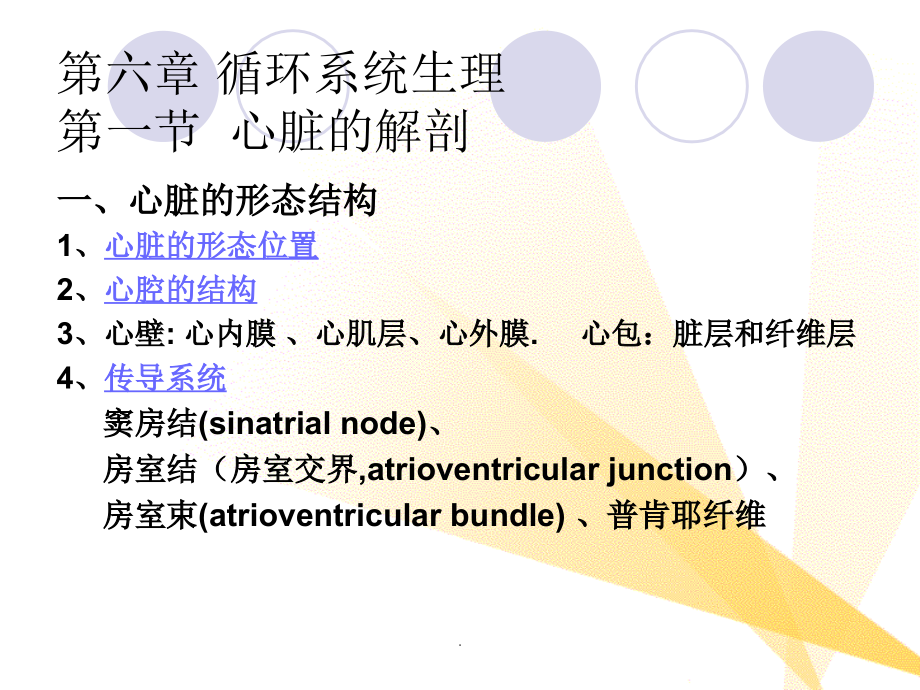 解剖生理学第6章循环系统_第3页