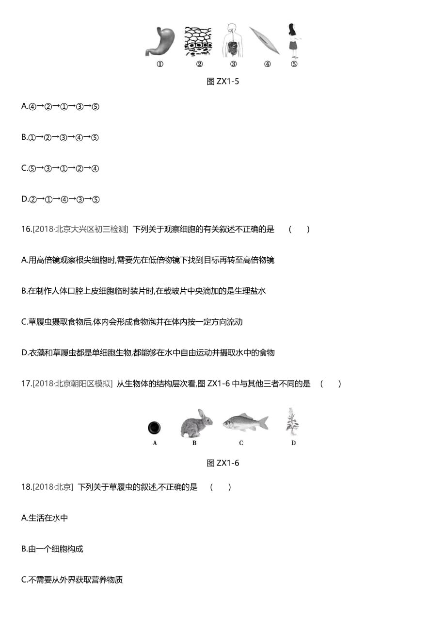 2019年北京市中考生物复习专项训练01 细胞、生物和生物圈（含答案）.docx_第4页