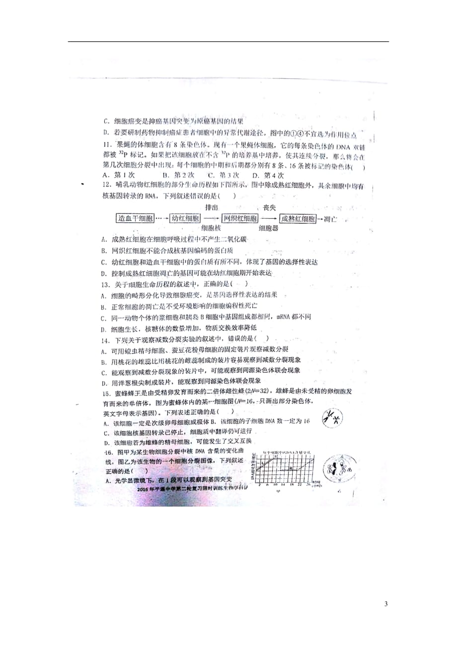 山西省高三生物第二轮复习限时训练试题（三）（扫描版无答案）_第3页